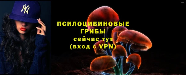 2c-b Зеленодольск